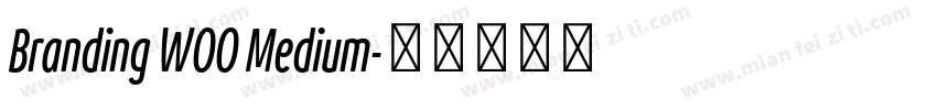 Branding W00 Medium字体转换